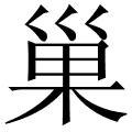 巢
