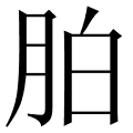 胉