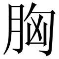 胸