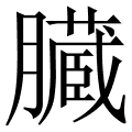 臓