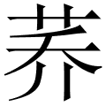 荞