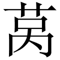 莴