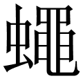 蠅