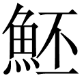 魾