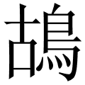 鴣