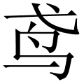 鸢